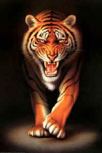 Tiger2.jpg (40443 bytes)